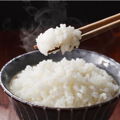 ふるさと納税 西脇市 【毎月定期便】兵庫県産 コシヒカリ(白米) 10kg全6回