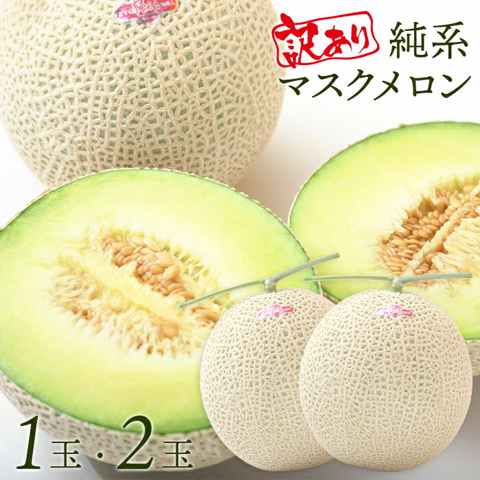 【ふるさと納税】訳あり メロン マスクメロン 1玉 2玉 フルーツ 果物 純系 おすすめ フルーツ 果物 規格外 キズ 国産 リピーター リピート 青肉 簡易包装 世界のVIP御用達 単発 発送時期が選べる 毎月 数量限定 送料無料 千葉県 富津市 モリタ農園 人気