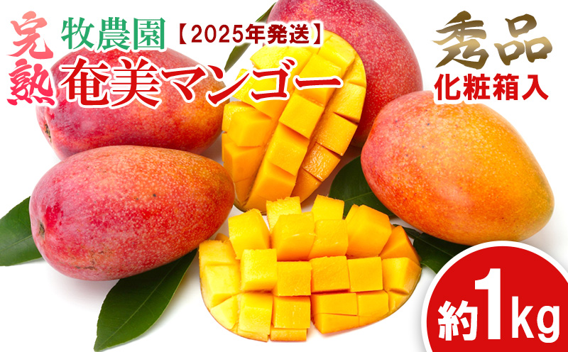【2025年発送】牧農園の完熟奄美マンゴー 秀品 約1kg（化粧箱入） 鹿児島県 奄美群島 奄美大島 龍郷町 国産 奄美産 青果 果物 くだもの フルーツ 南国 トロピカル デザート スイーツ 濃厚 とろける 甘い 農家直送 秀品 1kg