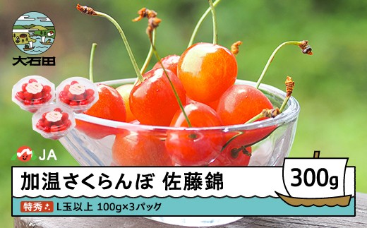 【先行予約】 加温 さくらんぼ 佐藤錦 特秀 L玉 ダイヤパック 100g×3パック 2027年産 令和9年産 ja-snpcx300