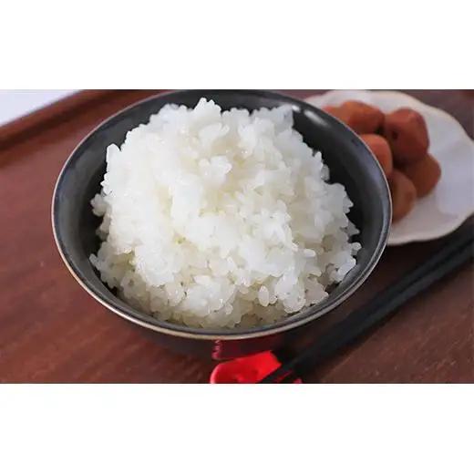 ≪令和8年産≫ ほたるの集う田んぼの米 こしひかり 6ヵ月定期便