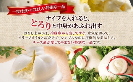ブッラータ 125g×2｜チーズ ブッラータチーズ 北海道 札幌市