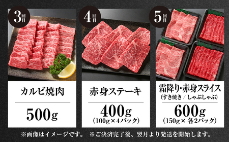 《定期便》全5回 飛騨牛 バラエティ（ステーキ /焼肉 / すき焼き/切り落とし）[ 飛騨高山ミート ] | 冷凍真空パック 肉 お肉 すきやき 黒毛和牛 和牛 人気 おすすめ 牛肉 [MZ104]