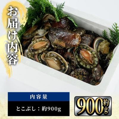 ふるさと納税 佐伯市 天然 トコブシ (約900g) |  | 02