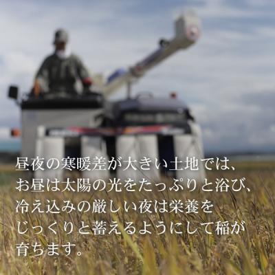 ふるさと納税 美瑛町 【先行予約】＜令和8年産＞美景農園 新米 ななつぼし10kg |  | 02