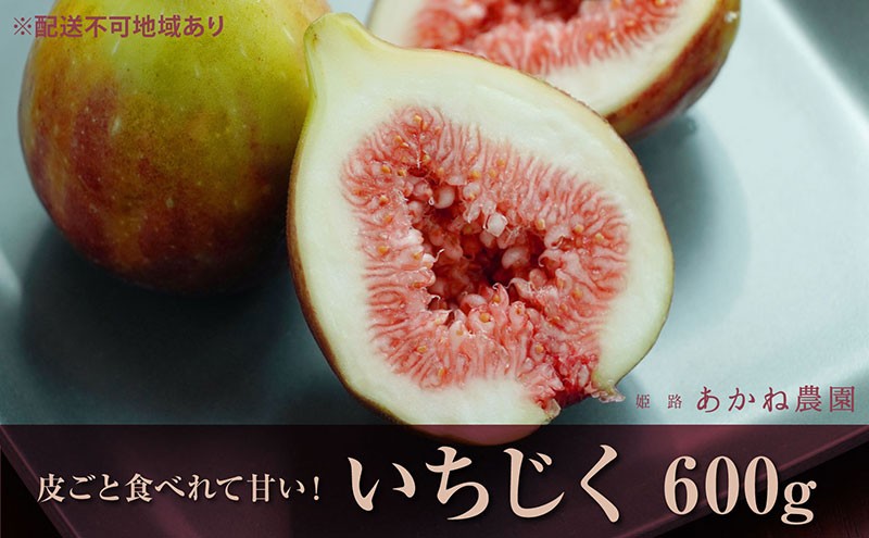 
[№5258-0617]【皮ごと食べれて甘い】あかね農園「いちじく」約600g
