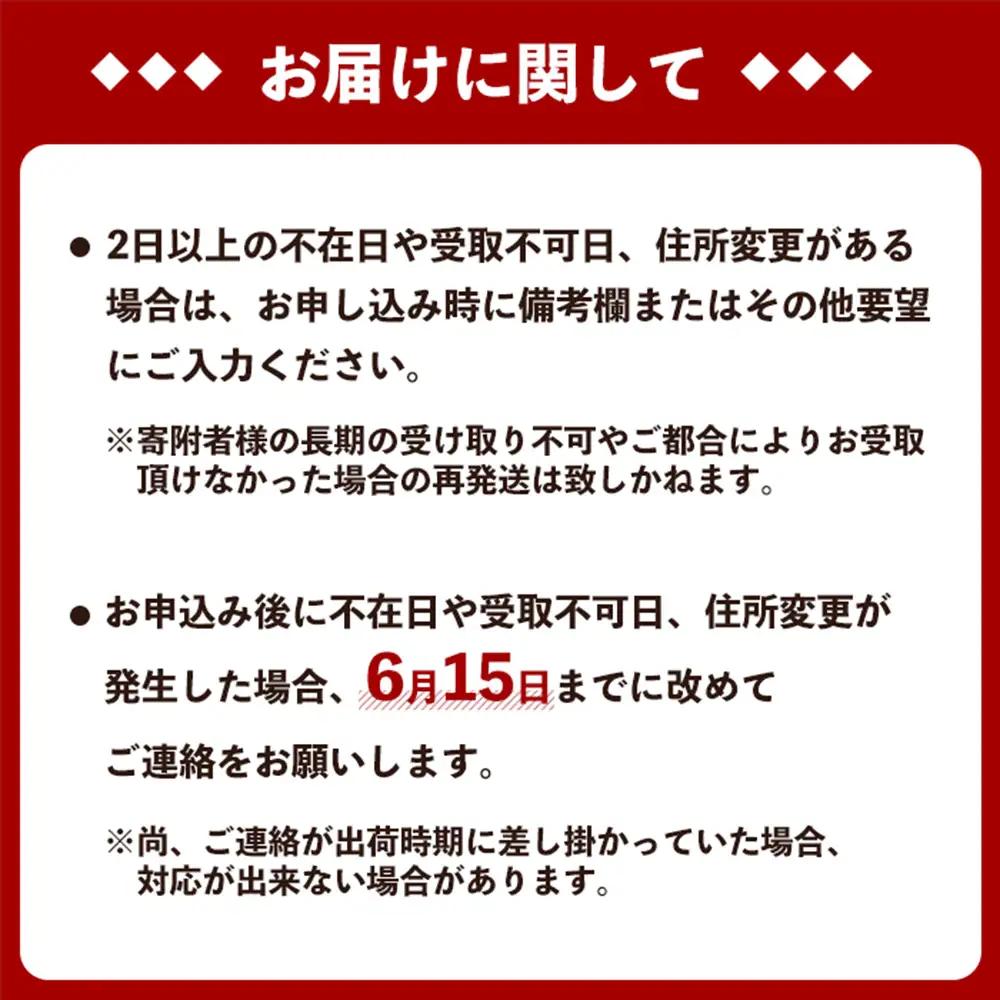 マンゴー【2026年発送】生産者応援！！訳あり完熟アップルマンゴー約2kg
