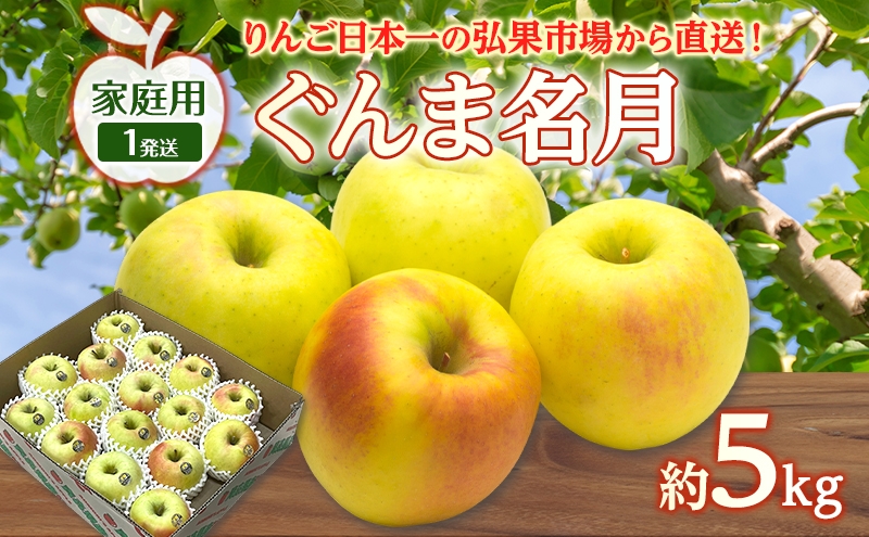 
                  りんご 【 1月発送 】 家庭用 ぐんま名月 約 5kg　リンゴ 林檎 青森りんご 糖度 13度 甘い 酸味 デザート フルーツ 果物 お取り寄せ 産地直送 旬 季節限定 弘果物流 青森県 西目屋村 西目屋村産
                