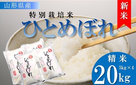 【令和8年産・精米】竹原田ファームの特別栽培米ひとめぼれ20kg（5kg×4袋）※10月中旬頃から順次配送