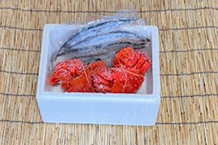 【北海道根室産】花咲かに2尾・さんま5尾 A-76002