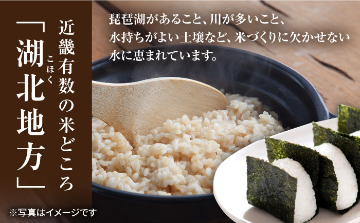 【選べる容量】 滋賀県湖北産 湖北のコシヒカリ 4.5・9.0・18・27kg(白米)　米 お米 ご飯 ごはん ゴハン