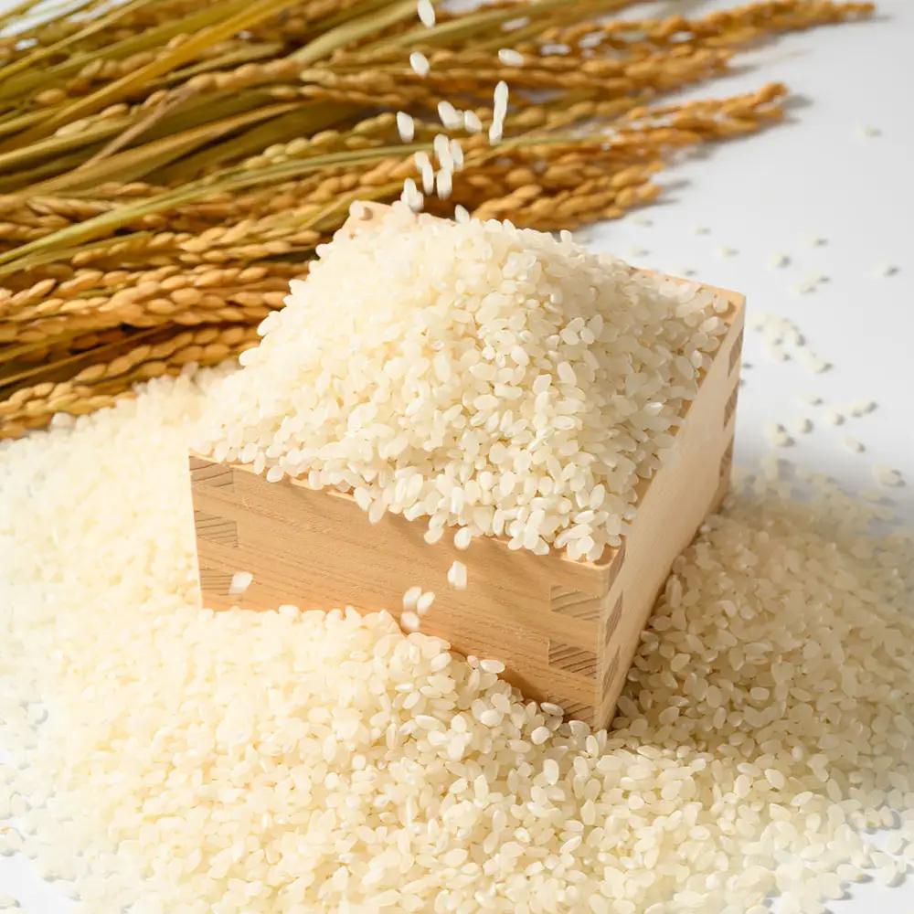 【先行予約】【令和8年産】茨城県産にじのきらめき 5kg ※2026年10月～発送 白米 精米