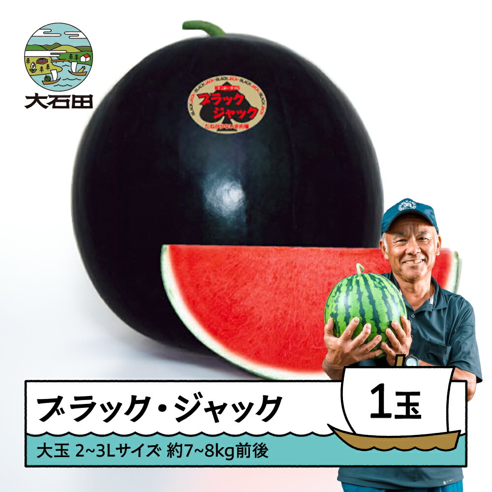 【ふるさと納税】すいか 大玉 ブラック・ジャック 2〜3L×1玉入り 2025年産 令和7年産 送料無料 スイカ 大石田町産 7月下旬から順次発送 gt-subjx2