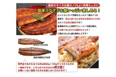 【数量限定】超特大サイズ国産うなぎ蒲焼き2本セット （230～249g×2本）(B632-2)