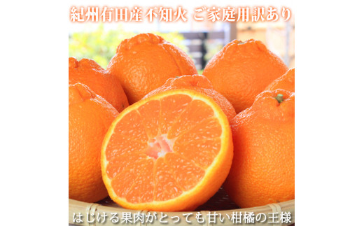 
            ［ご家庭用訳有り］紀州有田産不知火(しらぬひ) 約8.5kg［2026年2月中旬以降発送］［先行予約］［UT41］
          