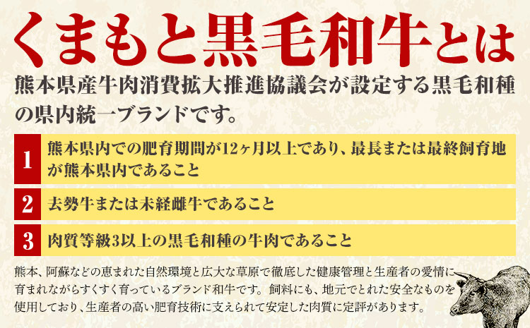 【厳選希少部位】【A4～A5】くまもと黒毛和牛 ミスジステーキ 約300g(100g×3p) 《30日以内に出荷予定(土日祝除く)》熊本県 大津町 黒毛和牛 肉 お肉 和牛 牛 牛肉 A5 A4 希少