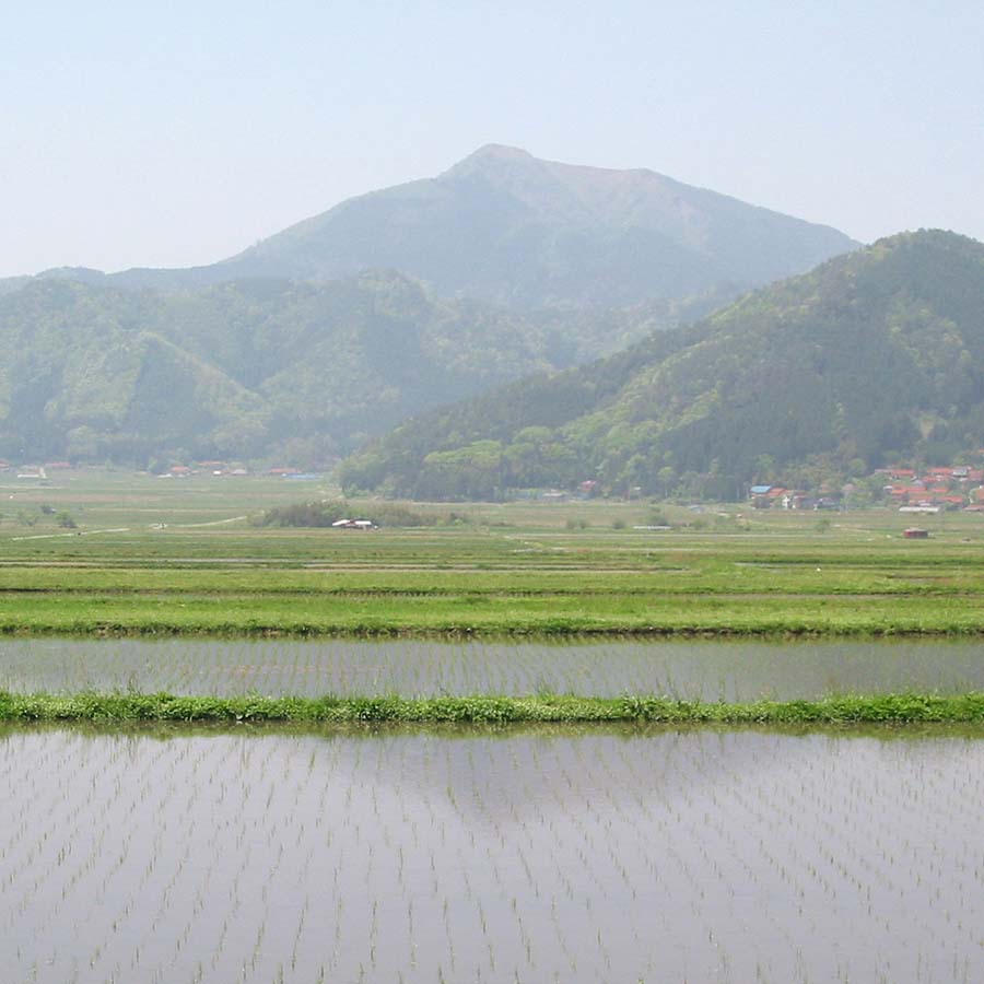 維新の一粒（特別栽培米阿東産コシヒカリ）精米5kg×2