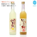 【ふるさと納税】「愛あるリキュール」500ml×2種セット にごり梅酒・にごり小夏酒 愛媛県産フルーツ使用 【愛媛 近藤酒造】 ギフト・プレゼントに最適