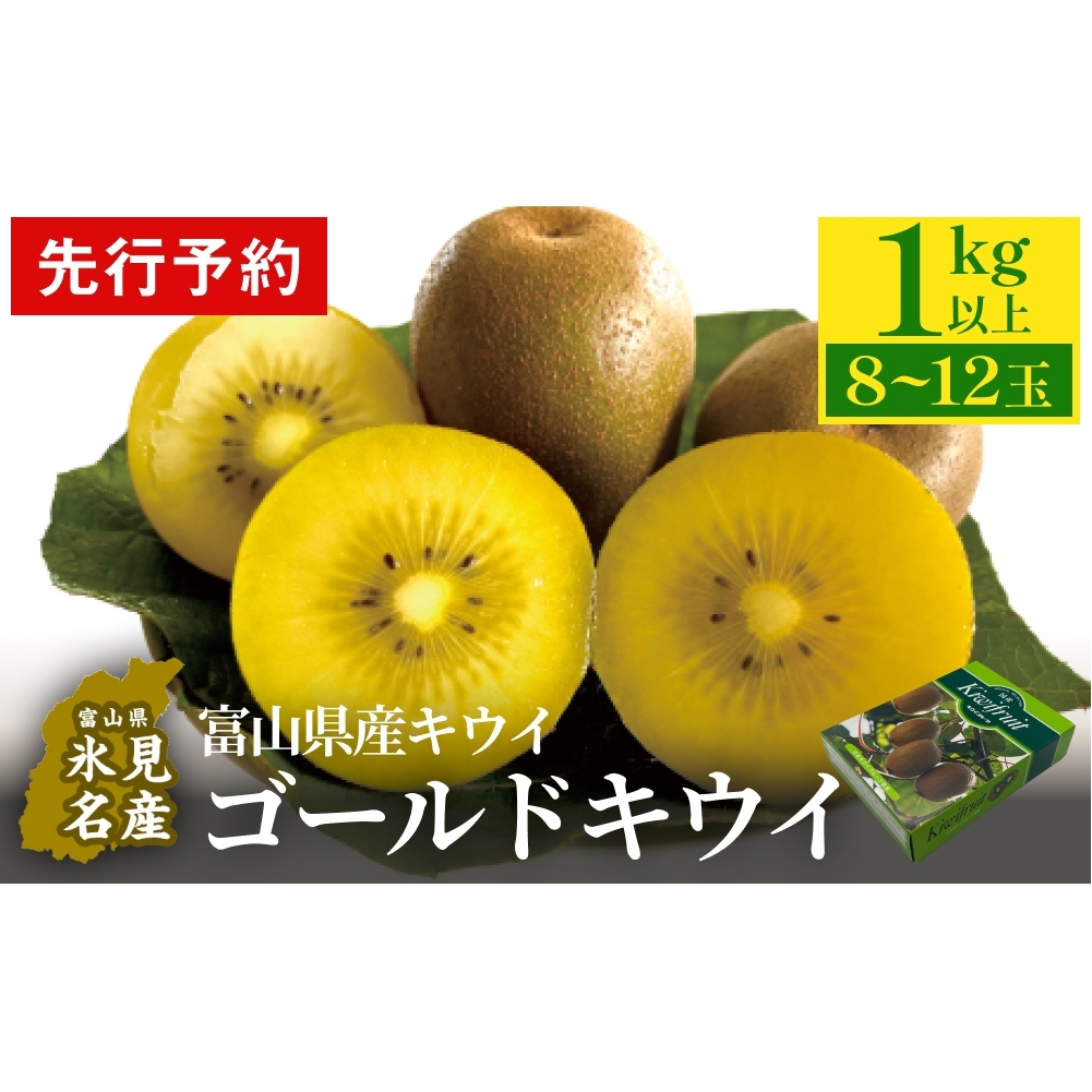 【先行予約】富山県産キウイ（ゴールドキウイ）1kg以上（８～12玉） ＜2025年11月中旬以降順次発送＞  富山県 氷見市 果物 フルーツ キウイ