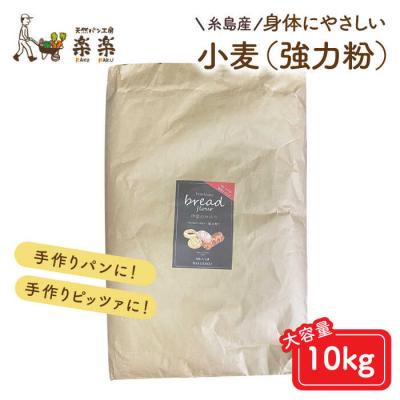 ふるさと納税 糸島市 伊都のみのり(強力粉)10kg 糸島市/天然パン工房楽楽【いとしまごころ】[AVC064]