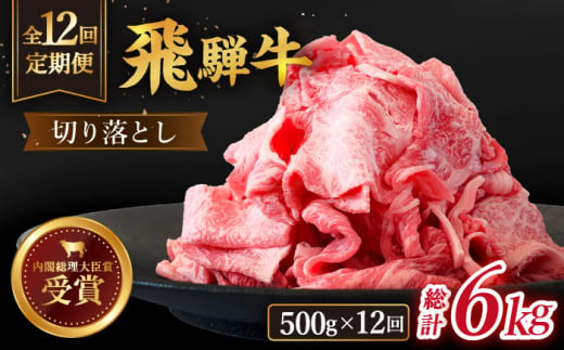 【 12回 定期便 】【 飛騨牛 】 切り落とし 総計 6kg 〈 1回あたり 〉500g  ( 250g × 2 ) 牛肉 国産 ブランド牛 和牛 多治見市/肉のひぐち  [TDC012]