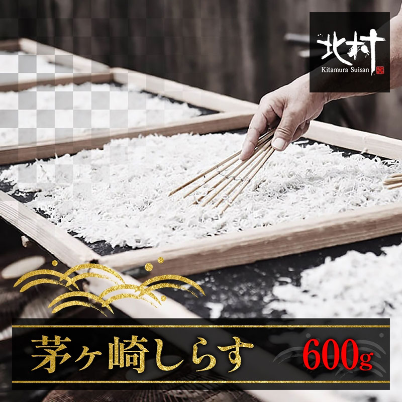 【ふるさと納税】茅ヶ崎しらす 魚貝類