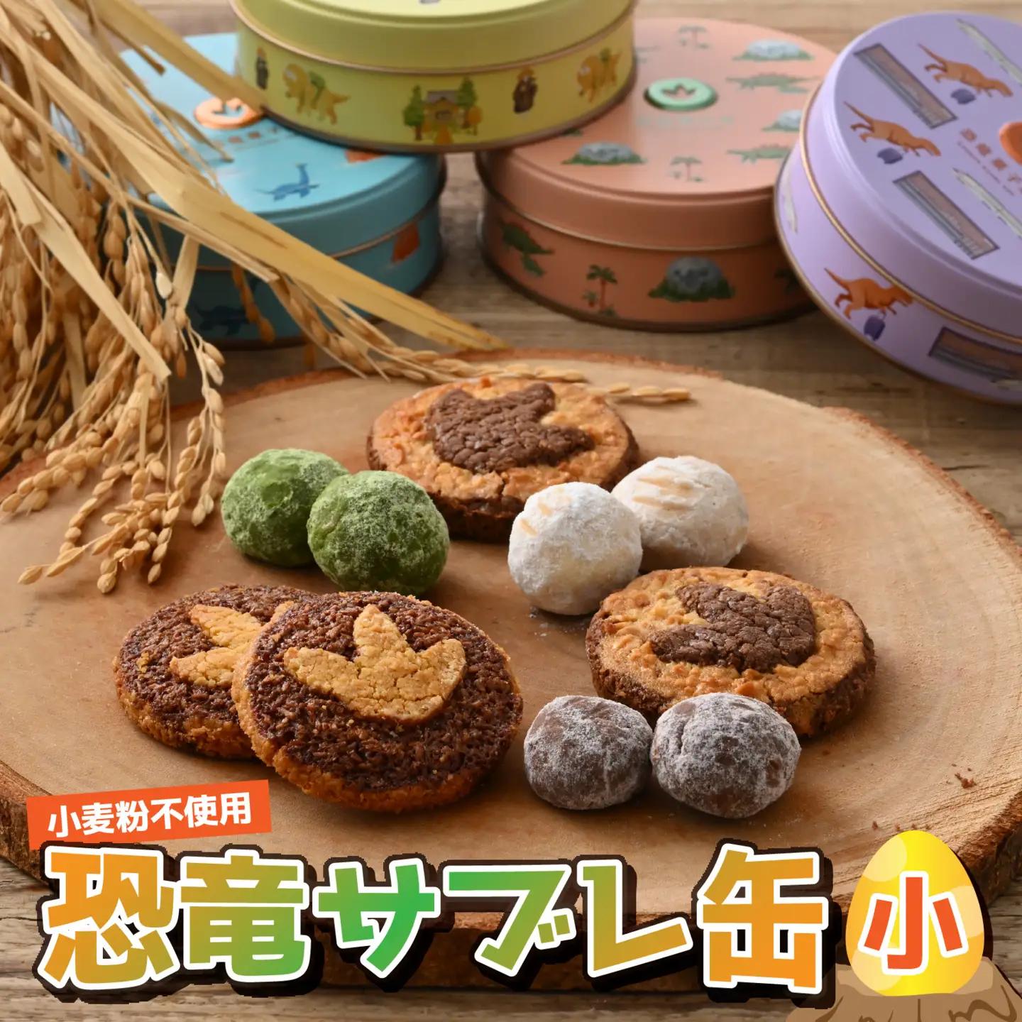 恐竜サブレ缶（小） 福井駅ティラノ缶 [A-135005_01]  きょうりゅう