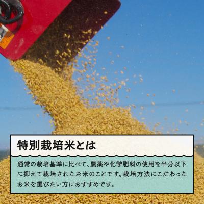 ふるさと納税 大石田町 米 つや姫 30kg 令和7年産 【2026年5月上旬発送】山形県産 特別栽培米 玄米 |  | 03