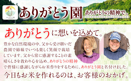 ひのきキューブ 5個 ありがとう園