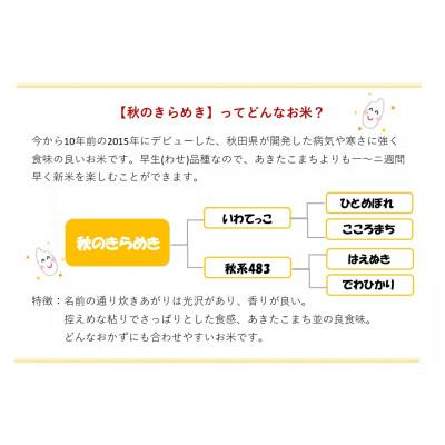 ふるさと納税 大仙市 令和7年産「秋のきらめき」精米5kg おこめのさわた 秋田県産 |  | 01