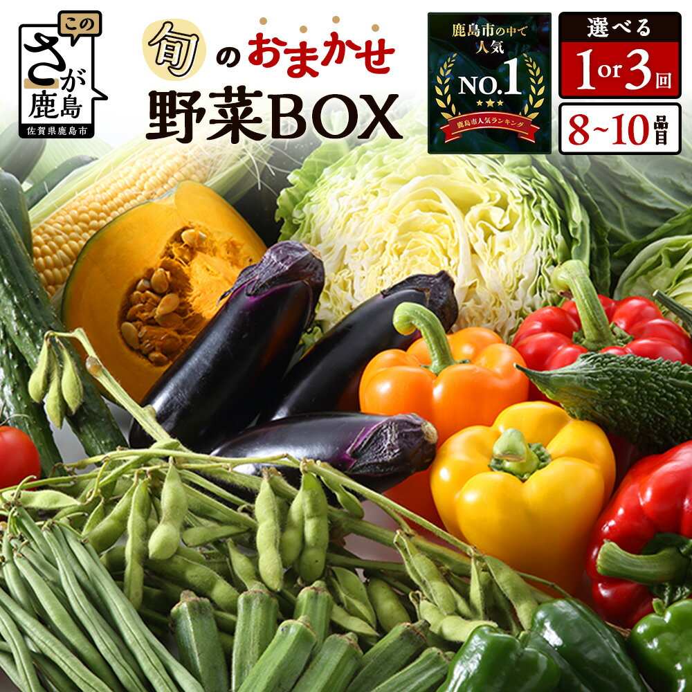 【ふるさと納税】累計28万箱【開始月が選べる】旬のおまかせ野菜セット 1回 or 3回 8~10品目 野菜 定期便 | ふるさと納税 野菜 定期便 野菜セット 詰め合わせ 定期 お試し 旬 定番 新鮮 産地直送 大容量 ふるさと 九州 佐賀県 鹿島市 人気 送料無料 C-47