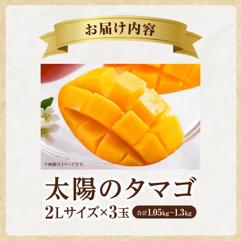 太陽のタマゴ マンゴー 太陽のタマゴ[2L 3玉 1.05~1.3kg]