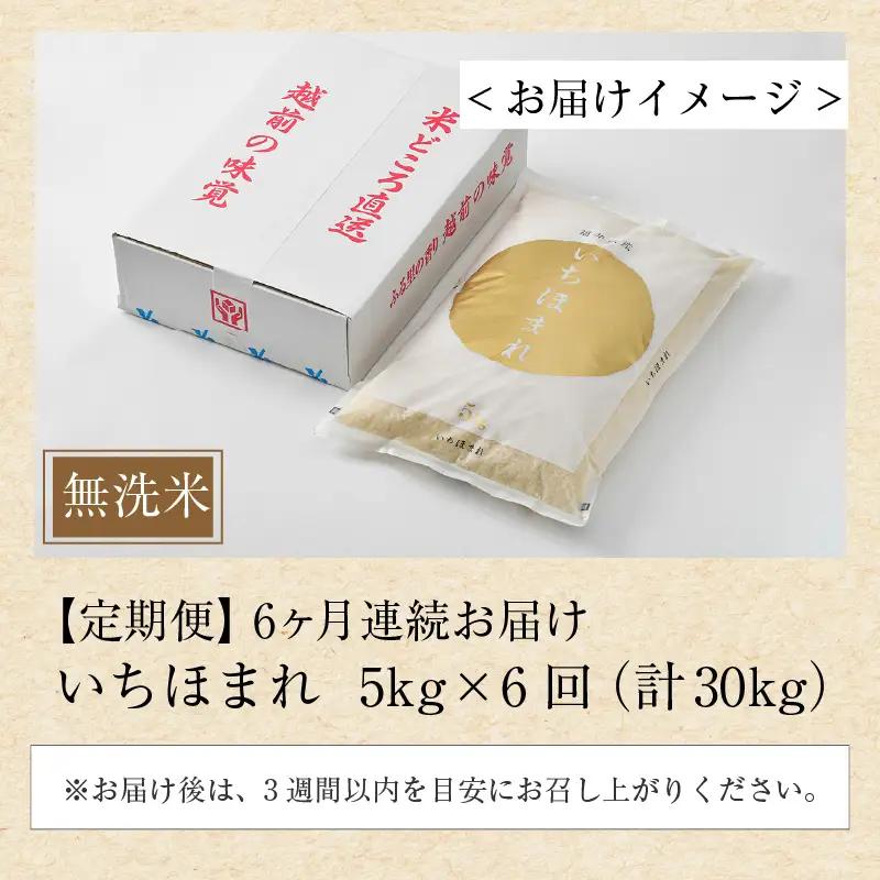 【令和7年産】定期便6回 いちほまれ 無洗米 5kg×6回（30kg）／ 福井県産 ブランド米 ご飯 白米 新鮮 [aw064-j004]