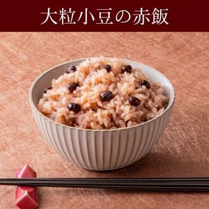 定期便 6ヶ月 ご飯パック 金賞 健康米 赤飯 120g×12個入り 御飯 ごはん パック ご飯 パックライス