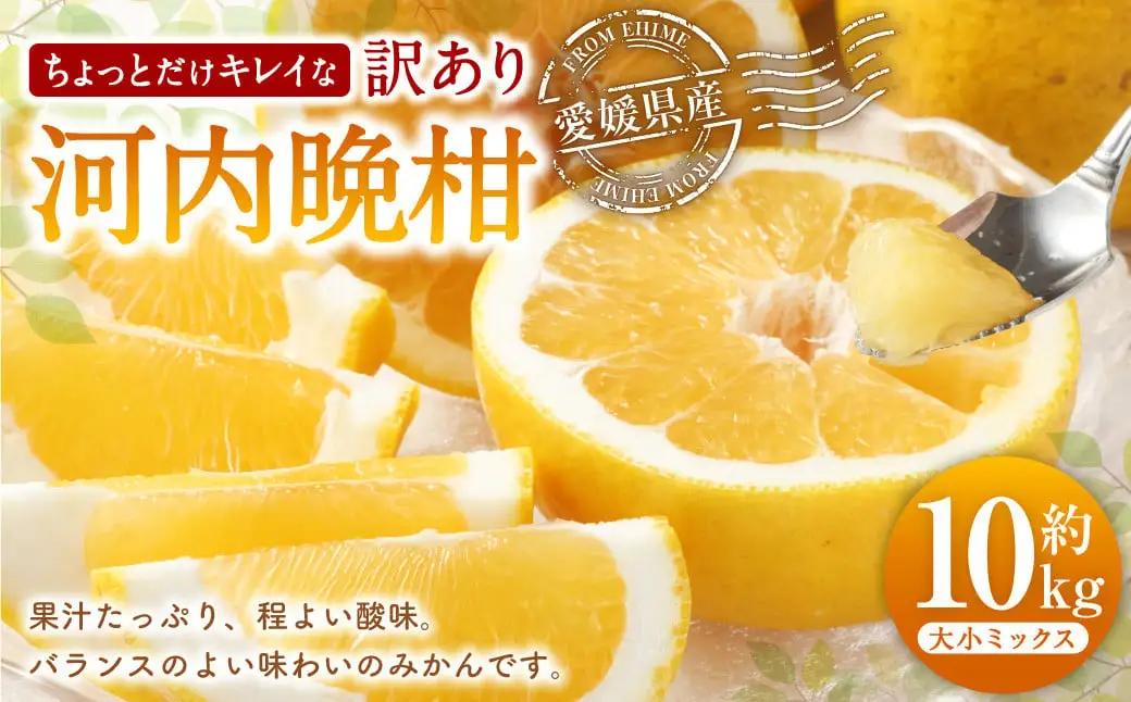 河内晩柑 ちょっとだけキレイな 大小ミックス （10kg） 【えひめの町（超）推し！（愛南町）】【2026年8月上旬までに発送予定】 (516)