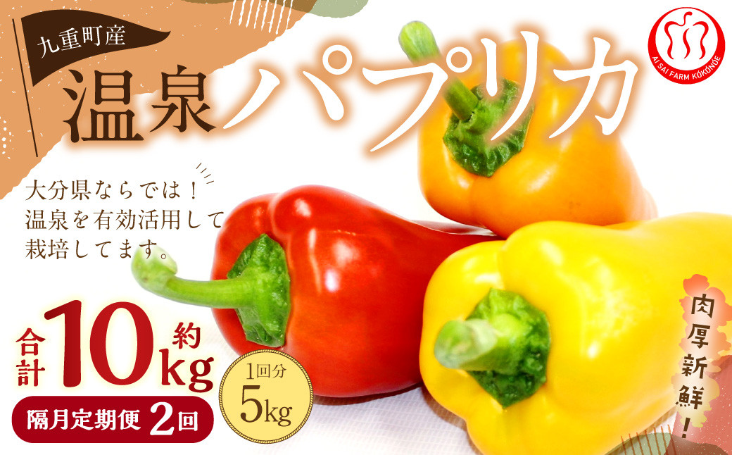 
            【隔月2回定期便】 大分県 九重町産 温泉パプリカ 計約10kg（約5kg×2回） パプリカ 野菜 やさい
          