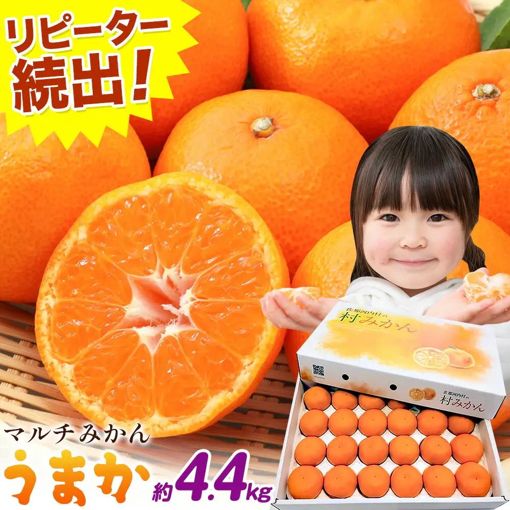 マルチみかん うまか 2箱(約4.4kg) みかん