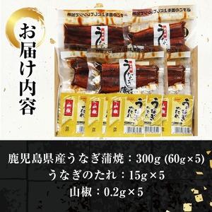 ＜先行予約受付中！2025年2月頃から発送分＞鹿児島県産うなぎ蒲焼300g（60g×5袋）レンジ対応可 鹿児島県産 うなぎ蒲焼 をご家庭で！ 【A-1777H】