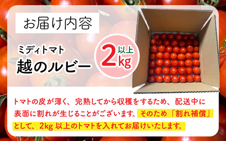 【先行予約】甘くて皮が薄く食べやすい　福井市産ミディトマト『越のルビー』2kg以上【2026年6月上旬より順次発送予定】 [A-180003]/ 福井市産 農家直送 とまと トマト フルーツトマト ミ