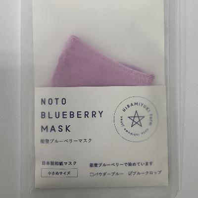 ふるさと納税 能登町 能登ブルーベリーマスク(ブルークロップ)NOTO BRUEBERRY MUSK　草木染め機能性マスク
