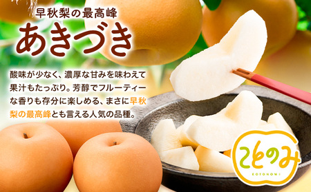 梨 秀品 荒尾梨 新ブランド(愛称) 「ことのみ」 あきづき  約3.5～4kg フルーツ 果物 旬 贈答 ギフト 先行予約 《9月上旬-9月中旬頃出荷》熊本県荒尾市産含む JAたまな荒尾梨部会  美