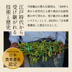 【先行予約】丹波黒枝豆 500g×2袋　仲摘み 枝豆 [CU08]