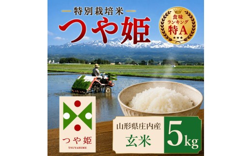 【令和7年産】 特別栽培米 つや姫 玄米 5kg (5kg×1袋)　山形県 庄内産 　| つやひめ 5キロ 米 お米 コメ 食品 ご飯 ごはん 美味しい おいしい ブランド米 エコ包装 おすすめ 人気 山形県 鶴岡市 東北 国産 お取り寄せ SDGs未来都市鶴岡 返礼品