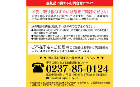 《 梅酒飲み比べ 》 山形の梅酒と山形のしそ梅酒 （500ml×2本）寒河江市産白加賀梅を使用　010-E-FR022｜梅酒飲み比べ梅酒飲み比べ梅酒飲み比べ梅酒飲み比べ梅酒飲み比べ梅酒飲み比べ梅酒飲み