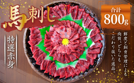 
熊本 馬刺し 特選 赤身 800g (50g×16) 馬肉
