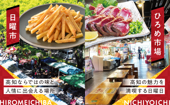 【高知市】 日本旅行 地域限定旅行クーポン60,000円分 /5年間有効 高知市 旅行 ホテル 航空券 JR券に使用可能 【株式会社日本旅行】 [ATHI003]