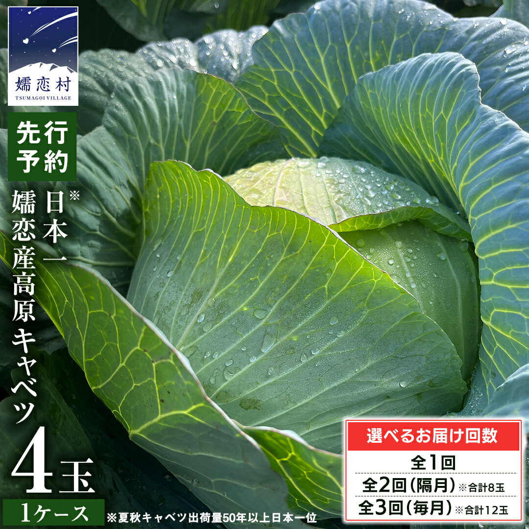 【ふるさと納税】 嬬恋キャベツ 4玉 【7月上旬以降発送開始】 ＜選べるお届け回数＞ 定期便 きゃべつ 嬬恋キャベツ 2025年発送 旬の野菜 産地直送 群馬 お取り寄せ 野菜 セット Lサイズ ZIP!