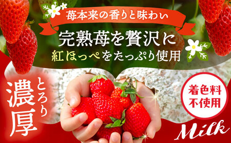 いちごミルクの素 3本 苺 イチゴ【配達不可：離島】 / くぼ苺農園[AECJ024]