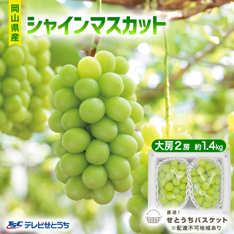 【ふるさと納税】ぶどう 2025年 先行予約 シャイン マスカット 大房 約1.4kg 2房 ブドウ 葡萄 岡山県産 国産 フルーツ 果物 直送！せとうちバスケット 　お届け：2025年9月末頃～2025年10月中旬