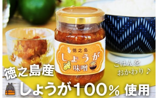 2312 徳之島産しょうが100%使用！ごはんのお供！徳之島しょうが味噌（100ml） （ しょうが 生姜 ショウガ 味噌 お味噌 ごはんのお供 ごはん 調味料 瓶 国産 徳之島 奄美 鹿児島 美味しい キッチンこころ ）
